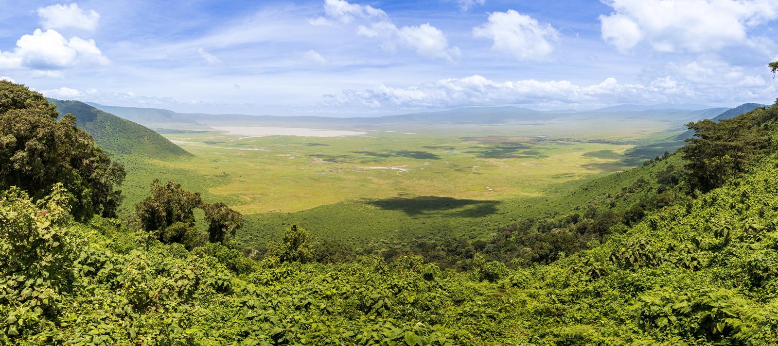 Ngorongoro